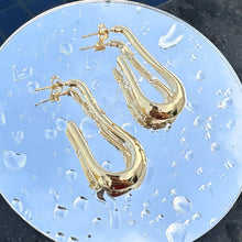 Melted Hoops Earnings