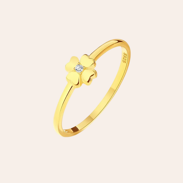 Nouravi 925 Sterling Silver Star Heart Shape Ring